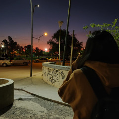 me vas a extrañar turra