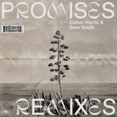 Promises (Franky Rizardo Remix)