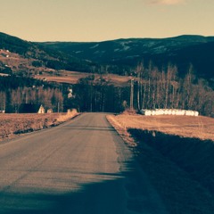 Sunny Days