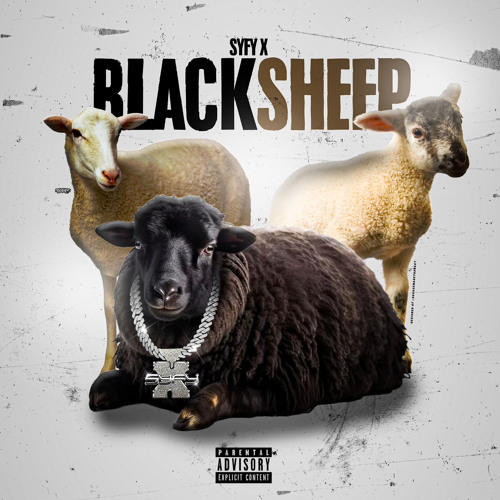 Black Sheep