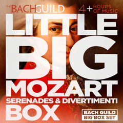 Serenade No. 13 for Strings in G Major, K.525 “Eine Kleine Nachtmusik:" IV. Rondo: Allegro