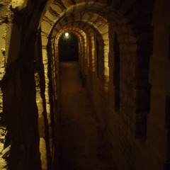 🦃🎶🍫 November Ear Candy Playlist 🍁🎶🍬