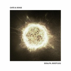 FS & HG feat. Kojey Radical - Cats & Dogs (Soulfil Bootleg)[Free Download]