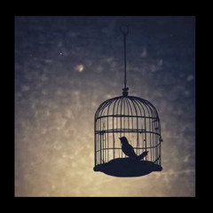 _Break the Cycle, My Love_