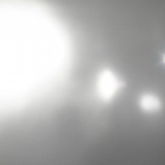 Felisha Ledesma 081125