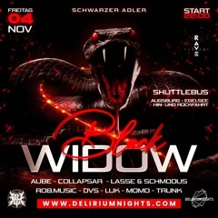 Aube@Black Widow 04.11.2022 Schwarzer Adler Tannheim