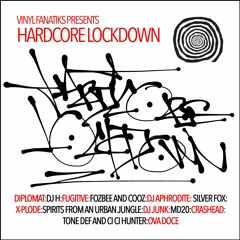 Diplomat 'Check It'  - Hardcore Lockdown Album - Vinyl Fanatiks - VFS001LP