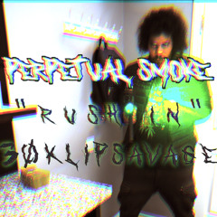30klipsavage - Rush in
