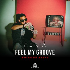 FEEL MY GROOVE #12+1