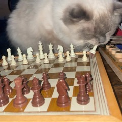 like umm (prod. b3nder)