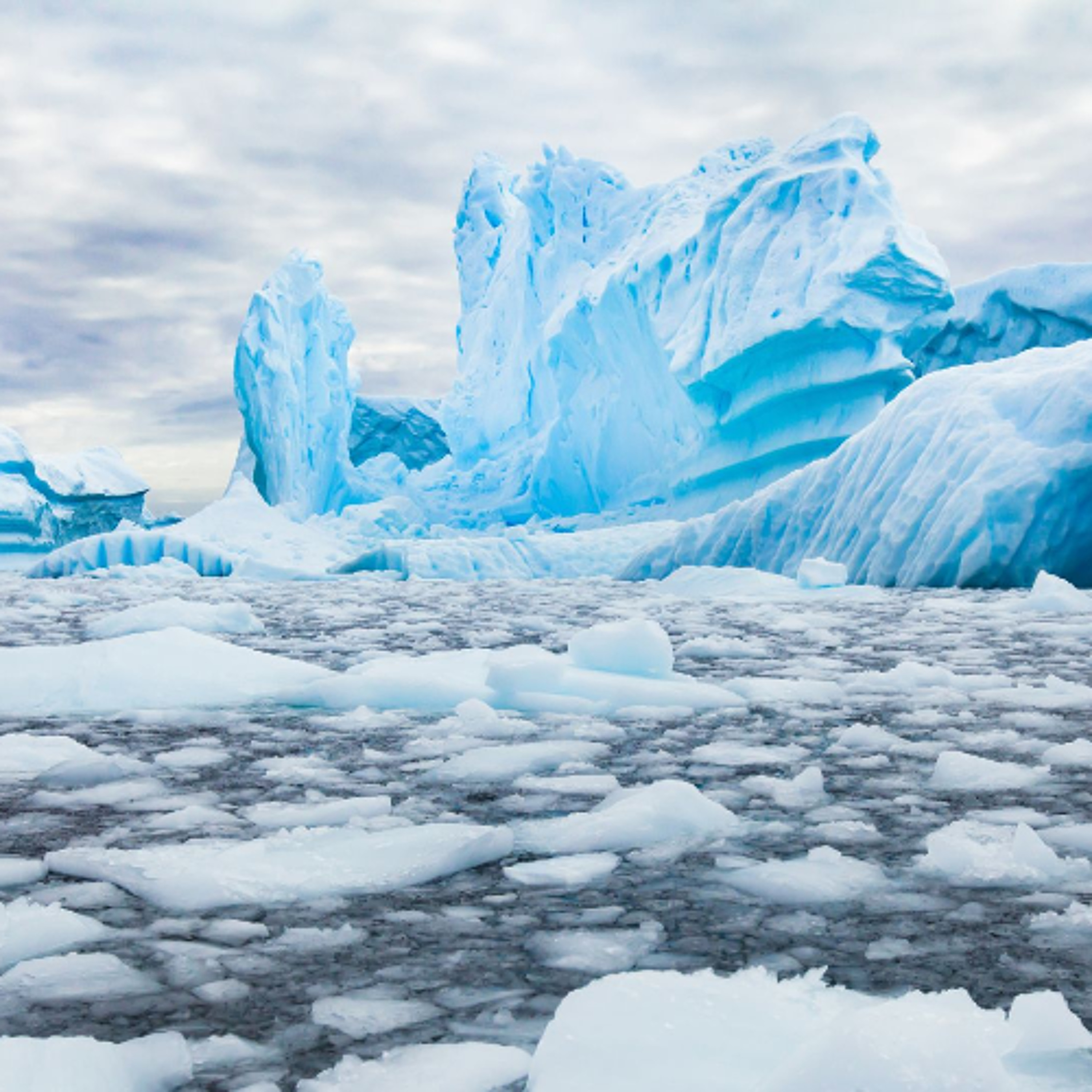 CHRO25066 - Antarctique