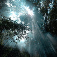 Ray of Light Remix