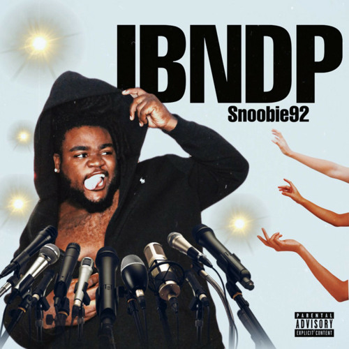 IBNDP