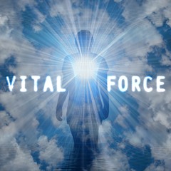 Vital Force - Mike Miller