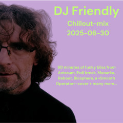 DJ Friendly Chillmix 2025-06-30