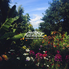 Antìhisi (ft. Lia Butler)