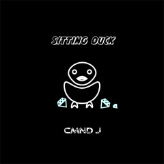 sitting duck V1