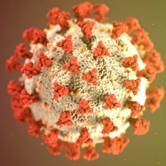 sheik tinde puolet karanteenis.mp3