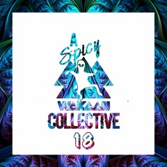 A Spicy Wakaan Collective 18
