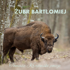 ŻubrBartłomiej.mp3