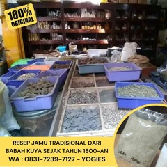 WA : 0831-7239-7127 (YOGIES),Agen Jamu Tradisional Kab Bandung Jamu Babah Kuya Urat Sendi