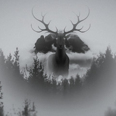 OH NO ITS RIDDIM AGAIN(NOT FINISHED)