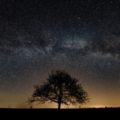 Journey On Earth.