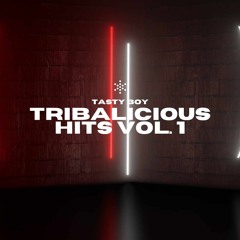 TASTY BOY TRIBALICIOUS HITS VOL. 1 DOWNLOAD BUY