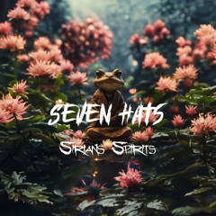 Seven Hats - Sirians Spirits (Original Mix)