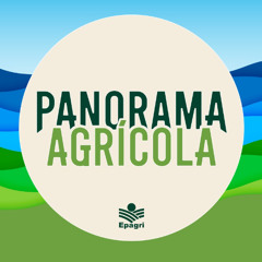 17 de novembro - Epagri/Ciram orienta agricultores sobre como comprovar prejuízos causados por temporais