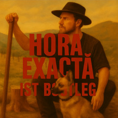 SUBCARPATI - HORA EXACTA [IST DNB FLIP]