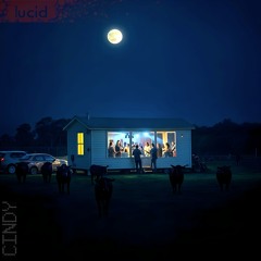 lucid