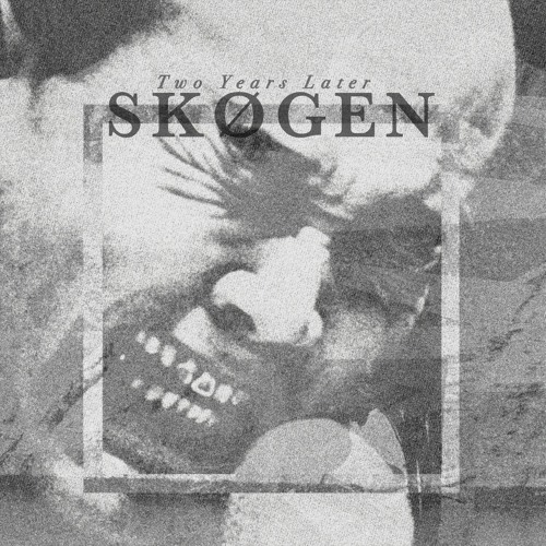 Skøgen - Crystal Skin [Premiere | Several Minor Promises]