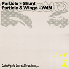 Particle - Shunt