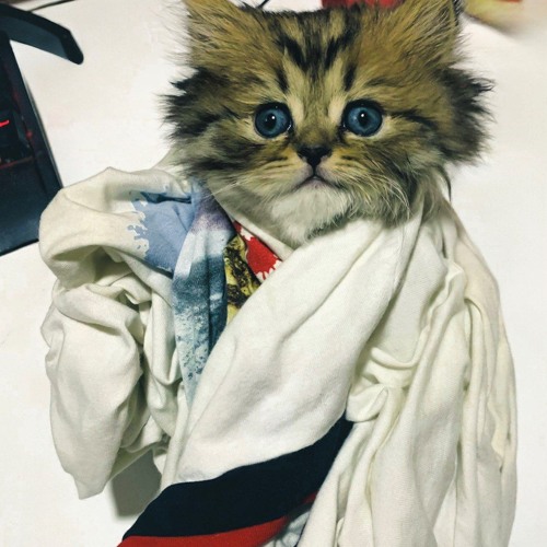 Aynı Dündeyiz X MNG #Hidra,#LACAZETTE