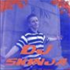 Dj SkinjA - Feeling Fine