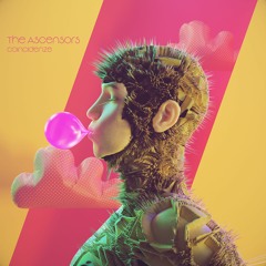 The Ascensors - Passione