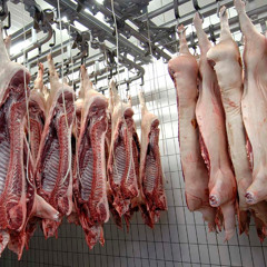 The Meatworks by Robert Gray