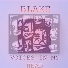 BLAKE - 'Voices In My Head' (Tech House)