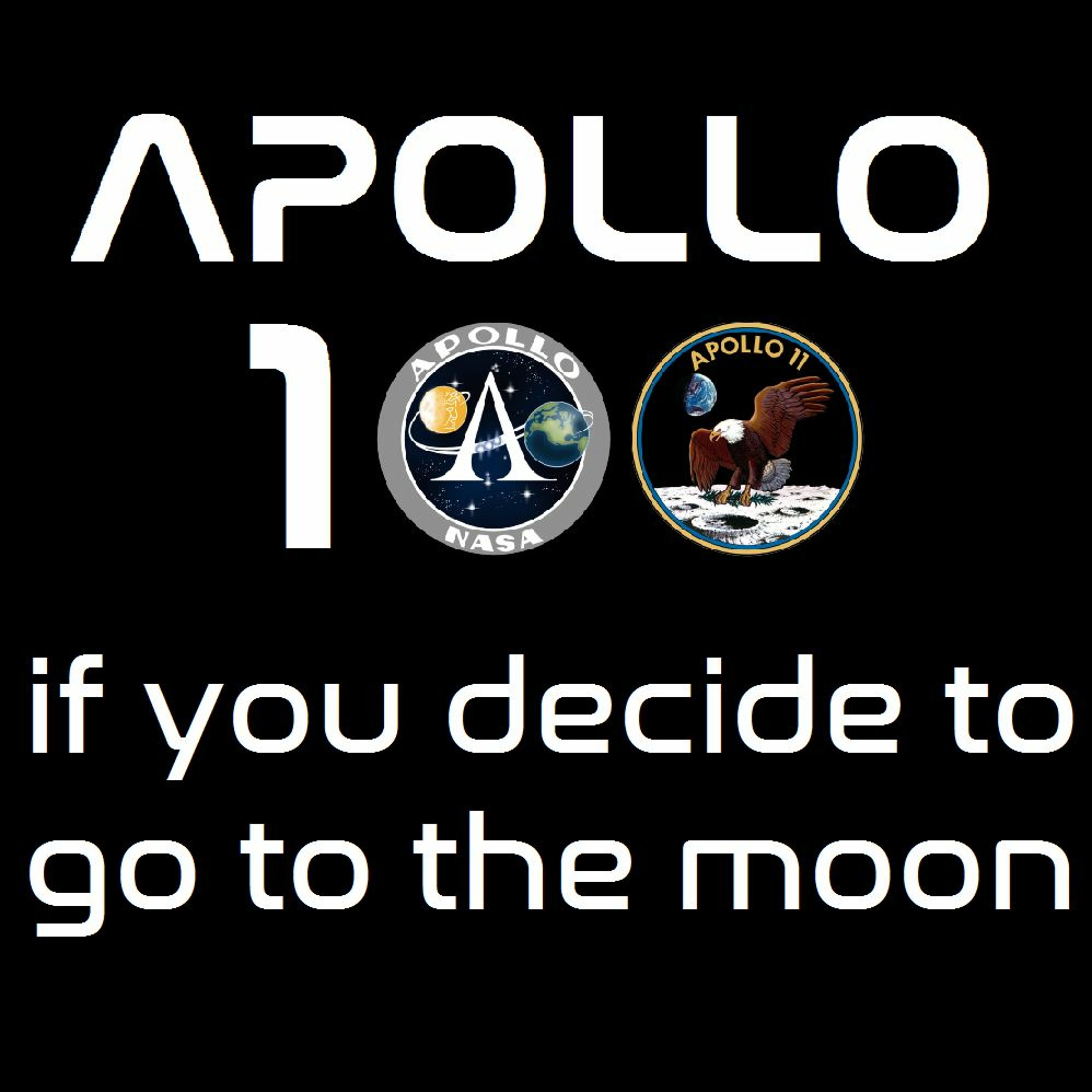 If You Decide To Go To The Moon
