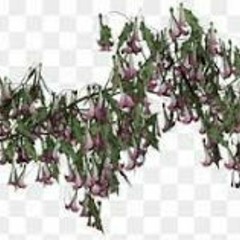 lost8 - boss up ##BLOODGEMM