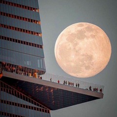 Contemplation Of The Moon Is A Solemn And Peaceful Affair