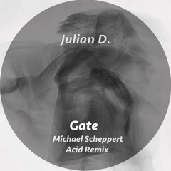 Julian D - Gate (Michael Scheppert ACID Remix)