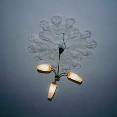 préau (prod. Rams) [fragment]