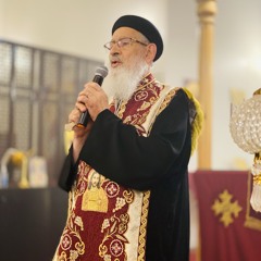Lessons from the Sinner Woman + Fr Shenouda Boutros +
