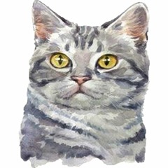 Sa 'Yo Lamang - one shot take, minus one from yt