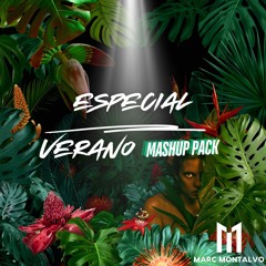 ESPECIAL VERANO MASHUP PACK +20 MASHUPS (DESCARGA GRATIS)