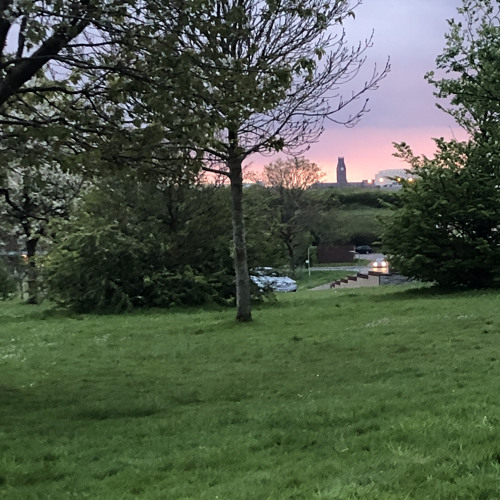 Stream Carnation by The Jam by Dan Hall Listen online for free on SoundCloud