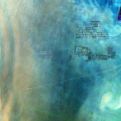 Article C - Tribal House Mix (12/21)