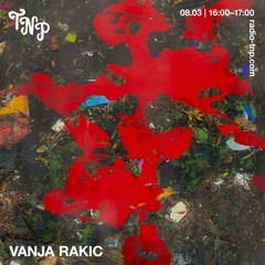 Vanja Rakic @ Radio TNP 08.03.2024